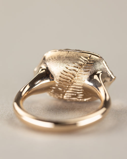 Enchanted Ring