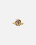 Into the Wild Ring Classic