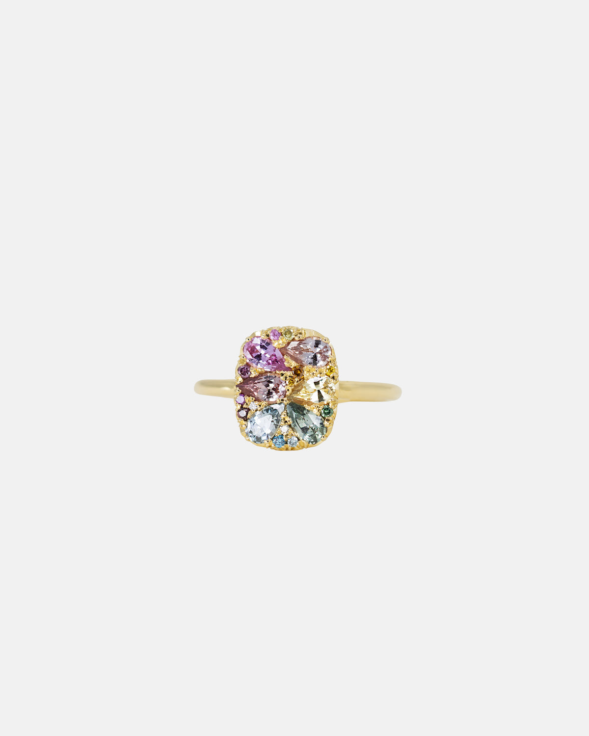 Into the Wild Ring Rainbow