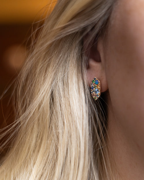 Enchanted earrings