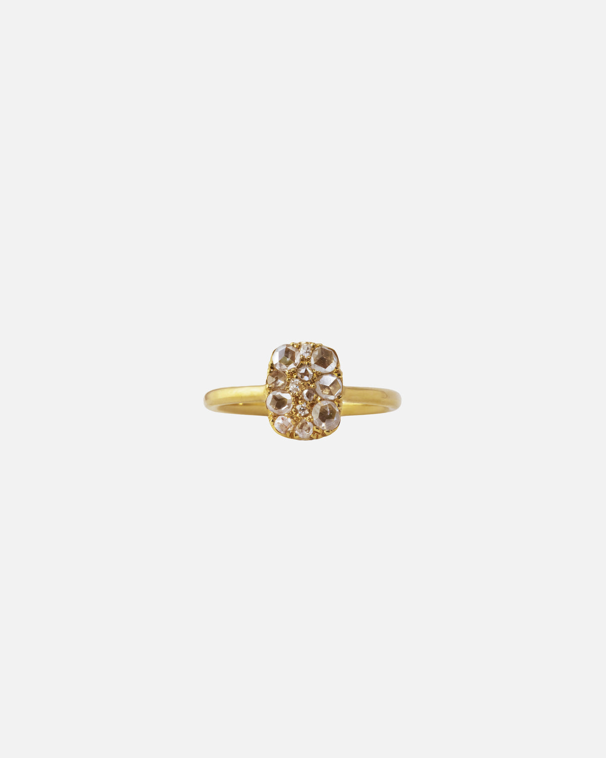 Into the Wild Ring Mini